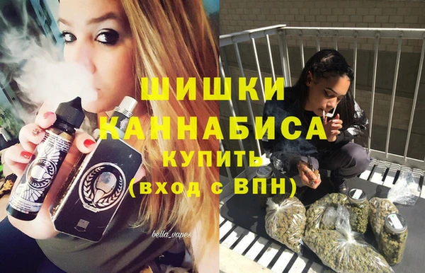 spice Лиски
