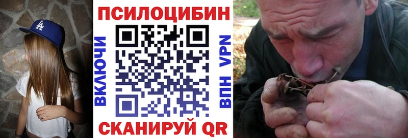 Галлюциногенные грибы Psilocybine cubensis Шацк